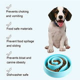 Pet Dog Slow Down Eating Feeder Bowl