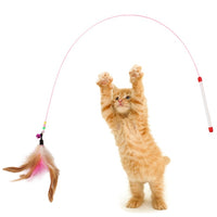 1pc Cat Teaser Toy