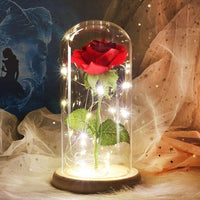 Eternal flower glass cover decoration