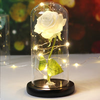 Eternal flower glass cover decoration